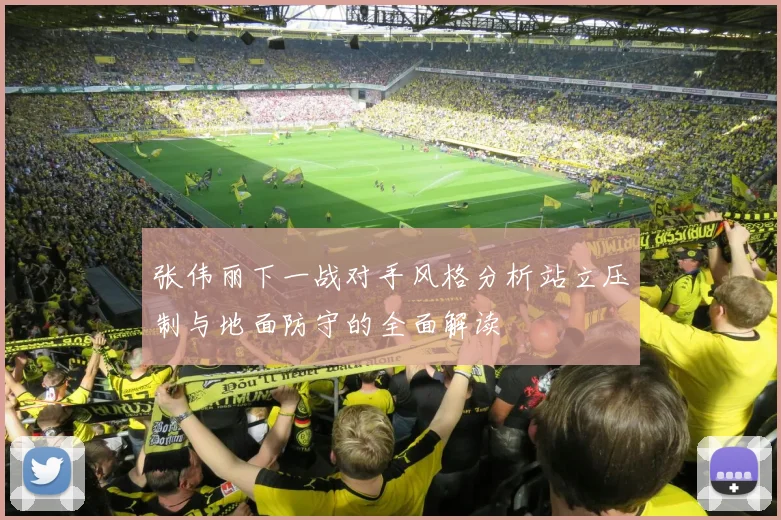 张伟丽下一战对手风格分析站立压制与地面防守的全面解读
