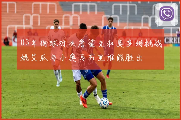 03年街球对决詹鲨克和奥多姆挑战姚艾瓜与小奥马布里谁能胜出