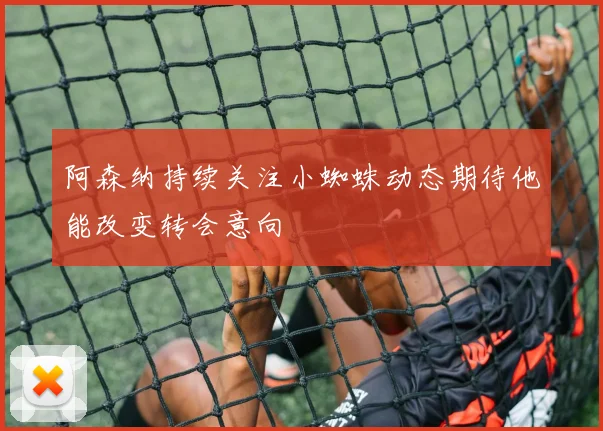 阿森纳持续关注小蜘蛛动态期待他能改变转会意向
